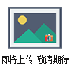 電動記錄儀-DXJ-1000S